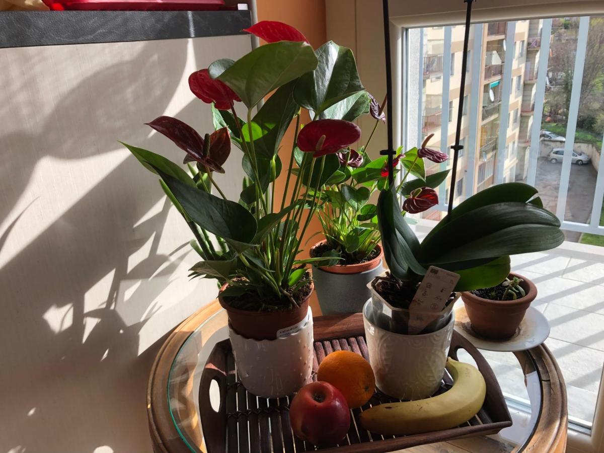 Attico Chez Renee Aosta 아파트 외부 사진